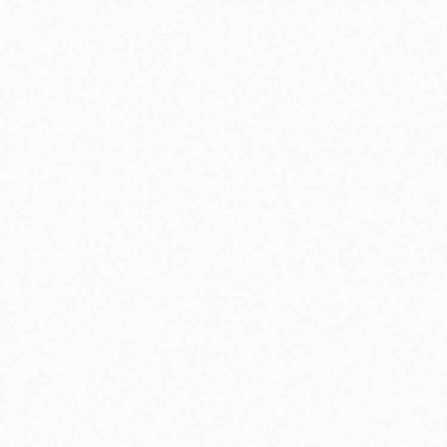 Temahome Étagère Berlin - Blanc mat - Blanc - 150 x 198 cm 9 Temahome Étagère Berlin - Blanc mat - Blanc - 150 x 198 cm – Image 9