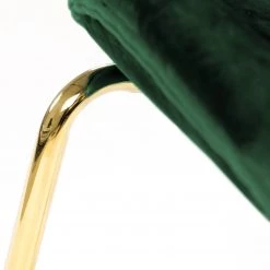 Kayoom Chaises capitonnées Charlize (lot de 2) - Velours / Métal - Laiton - Vert 13 Kayoom Chaises capitonnées Charlize (lot de 2) - Velours / Métal - Laiton - Vert -ÉcoMaison Soldes 1000214137 200529 06024000008 DETAILS P000000001000214137