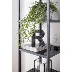 Red Living Étagère Barview - Placage en chêne - Chêne / Anthracite -ÉcoMaison Soldes 1000218360 210413 12580300012 DETAILS P000000001000218360