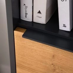 Red Living Buffet haut Barview - Placage en chêne - Chêne / Anthracite 49 Red Living Buffet haut Barview - Placage en chêne - Chêne / Anthracite -ÉcoMaison Soldes 1000218365 210413 12582000025 DETAILS P000000001000218365