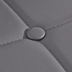 Red Living Chaises capitonnées Aline (lot de 2) - Gris -ÉcoMaison Soldes 1000271807 210602 16122200054 DETAILS P000000001000271807