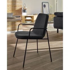 Fredriks Chaises à accoudoirs Gina (lot de 2) - Gris foncé 16 Fredriks Chaises à accoudoirs Gina (lot de 2) - Gris foncé -ÉcoMaison Soldes 1000274231 210618 10464400229 MOOD DETAILS P000000001000274231 mood