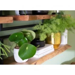 Ars manufacti Étagère murale Kaawo I - Acacia massif / Métal - Acacia / Noir - Largeur : 100 cm 30 Ars manufacti Étagère murale Kaawo I - Acacia massif / Métal - Acacia / Noir - Largeur : 100 cm -ÉcoMaison Soldes 1000276819 220812 023 MOOD DETAILS P000000001000276819 mood