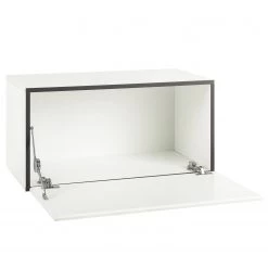 Now! by hülsta Caisson à accrocher now to go colour II - Blanc pur brillant / Blanc neige - 38 x 75 cm 11 Now! by hülsta Caisson à accrocher now to go colour II - Blanc pur brillant / Blanc neige - 38 x 75 cm -ÉcoMaison Soldes 1000311229 211201 144846000111 DETAILS P000000001000311229