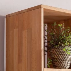 Ars Natura Étagère GrapWOOD III - Duramen de hêtre massif -ÉcoMaison Soldes regal grapwood iii kernbuche massiv 3389265